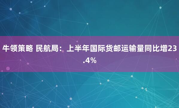 牛领策略 民航局：上半年国际货邮运输量同比增23.4%