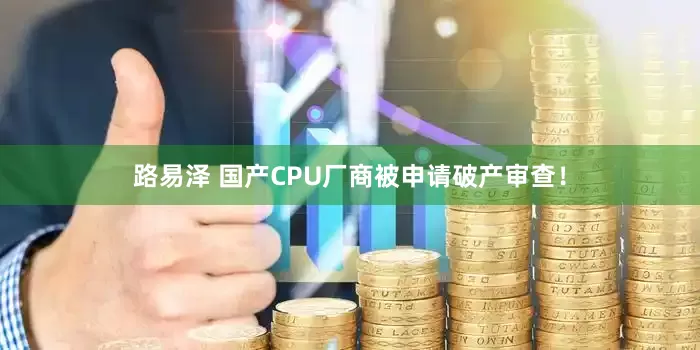 路易泽 国产CPU厂商被申请破产审查！